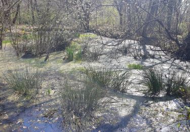 Trail Walking Recloses - Recloses 2025 - Photo
