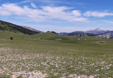 Trail Walking Châtillon-en-Diois - Les Cabanes de Châtillon (Glandasse) - Photo