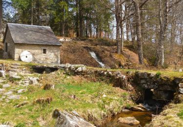 Tour Wandern Pérols-sur-Vézère - Varieras_Razel - Photo