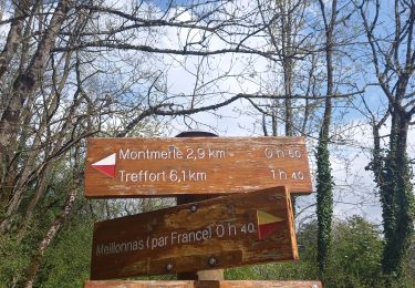 Tocht Stappen Val-Revermont - chapelle des conche.depart de montmerle et son observatoire  - Photo