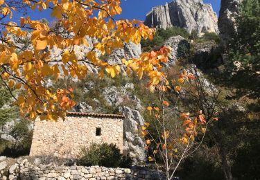 Randonnée Marche Castellane - Teillon - Photo