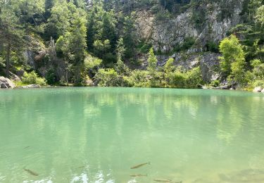 Excursión Senderismo Champclause - Lac bleue  - Photo