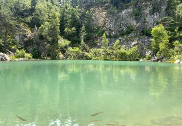 Randonnée Marche Champclause - Lac bleue  - Photo