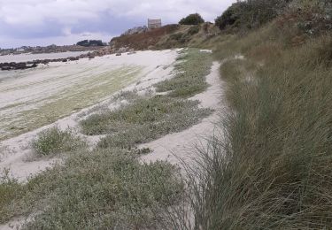 Trail Walking Plouguerneau - lilia plouguerneau guisseny - Photo