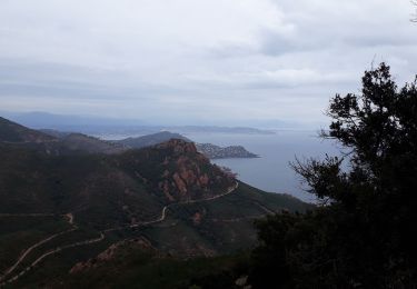 Tocht Stappen Saint-Raphaël - Esterel Cap Roux - Photo