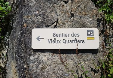 Tour Wandern Brassac - Brassac - Sur les hauteurs de l'Agout - Col de la cime du Ser - Photo