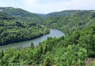 Tour Wandern Brousse-le-Château - J12:Brousse le Château-Villeneuve sur Tarn-200522 - Photo