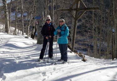 Trail Walking Château-Bernard - la soldanelle - Photo