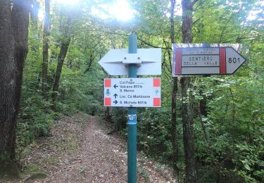 Tour Zu Fuß Carenno - Sentiero 819: Carenno - Torre de' Busi - Photo