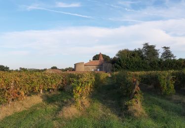 Tocht Stappen Condom - Graziac- Abbaye de Flaran -Valence sur Baise- Graziac - Photo