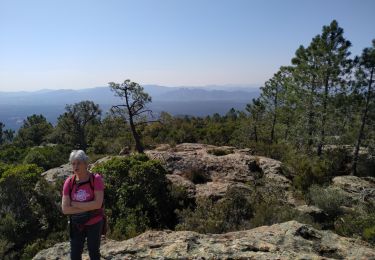 Trail Walking Bagnols-en-Forêt - le caste diaou - Photo