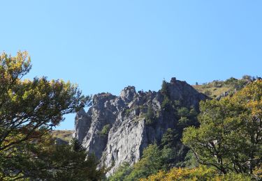 Trail Walking Le Valtin - sentiers des roches Ok  - Photo