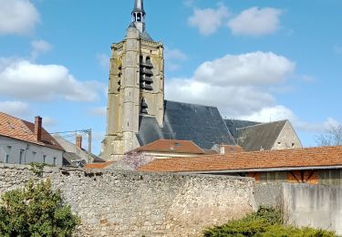 Tocht Stappen Fère-en-Tardenois - Fère-en-Tardenois 