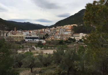 Trail On foot Montanejos - Monte del Copa - Photo