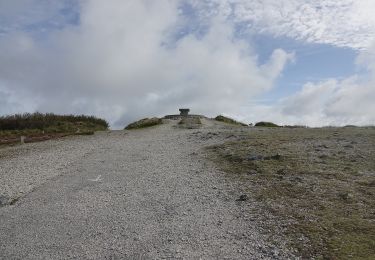 Tocht Te voet Saint-Nic - Circuit du Menez-Hom - Photo