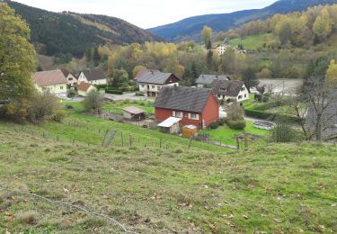 Tour Wandern Rimbach bei Masmünster - 2019.11.14.Ermensbach  - Photo