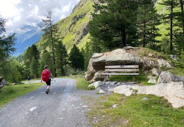 Randonnée Marche Gemeinde Längenfeld - Gries Amberger hutte 11 km - Photo