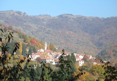 Tocht Te voet Propata - Bavastrelli - Monte Antola - Photo