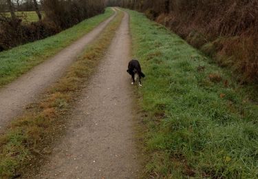 Randonnée Marche Pornic - chemin du port  - Photo