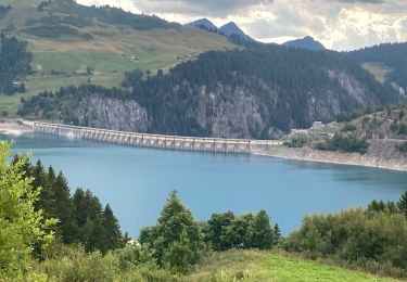 Trail Walking Beaufort - Lac de Roselyne - Photo