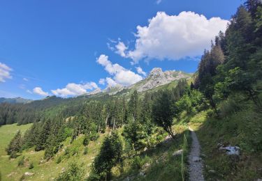Tour Wandern La Clusaz - rando lac tardevent aravis 20-072023 - Photo