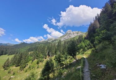 Excursión Senderismo La Clusaz - rando lac tardevent aravis 20-072023 - Photo