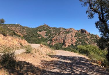 Trail Walking Fréjus - Plan de l'Esterel depuis la Maison Forestière du Malpey - Photo