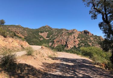 Excursión Senderismo Fréjus - Plan de l'Esterel depuis la Maison Forestière du Malpey - Photo