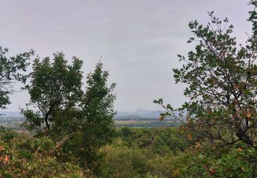 Tocht Stappen La Touche - La Touche Mastaize 9km - Photo