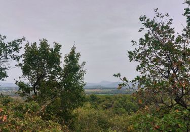 Randonnée Marche La Touche - La Touche Mastaize 9km - Photo