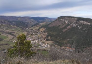 Trail Walking Barjac - Villaret - Photo