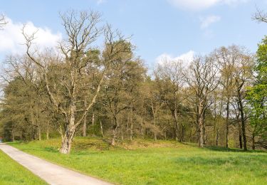 Percorso A piedi Hövelhof - A5 Ems-Erlebnisweg - Photo