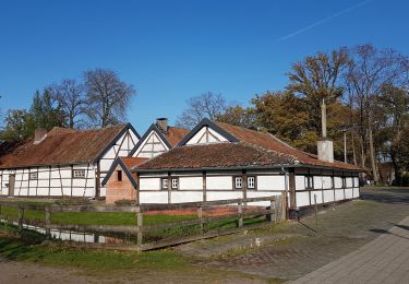 Tocht Stappen Heusden-Zolder - Bolderberg - Photo