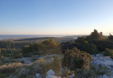 Trail Walking Gruissan - Chapelle  d'Auzils  - Photo