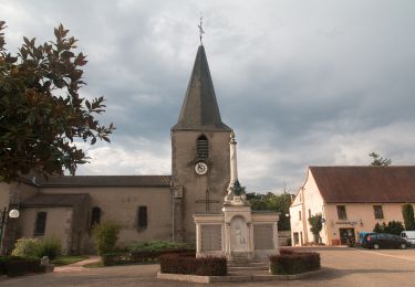 Randonnée A pied Montereau-Fault-Yonne - Les sentiers de la Préhistoire - Photo