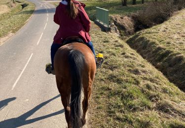 Tour Reiten Neuviller-lès-Badonviller - Belliana kiki  - Photo