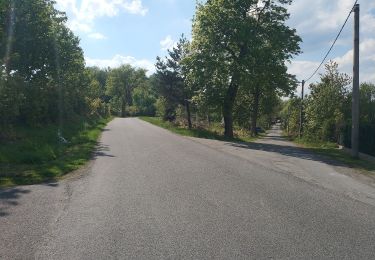 Tour Zu Fuß Reichenberg - NS Mojžíšův pramen - Císařský kámen - Photo