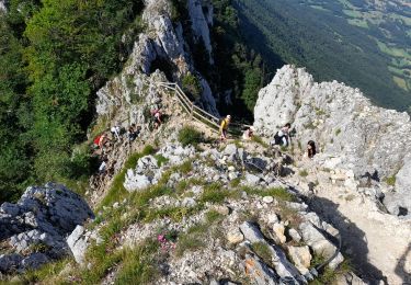 Trail Walking Le Bourget-du-Lac - DENT DU CHAT - MOLARD NOIR - Photo