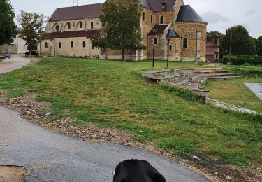 Percorso Marcia Longpont-sur-Orge - longpont/orge - Photo