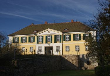 Excursión A pie Altenthann - O 67 Kürn - Wolferszwinger Weiher (Rotes Rechteck) - Photo