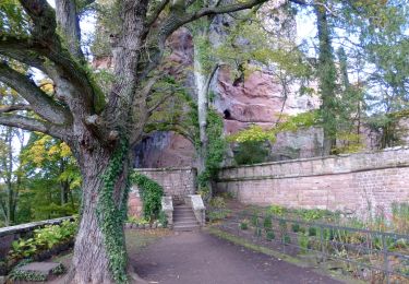 Randonnée A pied Erlenbach bei Dahn - Hans-Trapp-Tour - Photo