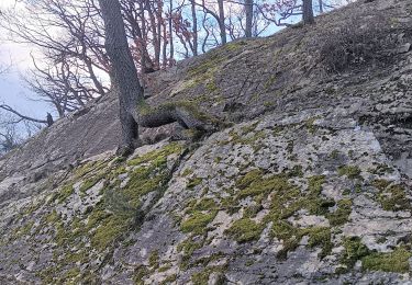 Percorso Marcia Spa - rando dans les bois du nord de spa  - Photo