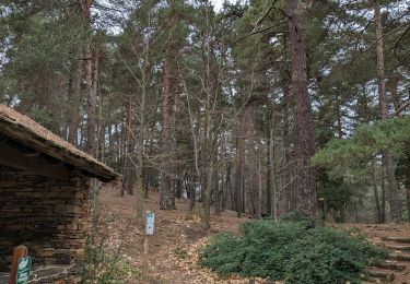Trail Walking Saint-Jean-du-Gard - Col de Saint Pierre - Photo