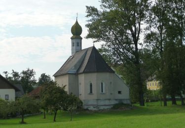 Tocht Te voet Taufkirchen an der Pram - Marterl- und Kapellenweg - Photo