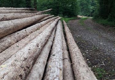 Randonnée Marche Ferrières - Werbomont20 - Photo