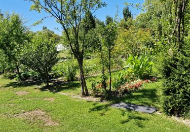 Randonnée Marche Bourges - Bourges 18 les marais  - Photo