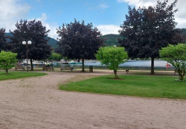 Randonnée Marche Gérardmer - Gerardmer TDL - Photo