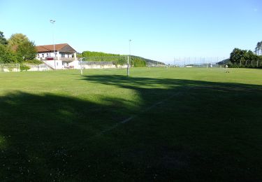 Tocht Te voet Neumarkt im Mühlkreis - Burgstall-Rundweg - Photo