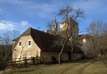 Excursión A pie Hartberg Umgebung - Löffelbach - Villa Rustica - Burg Neuberg - Löffenbach (I) - Photo