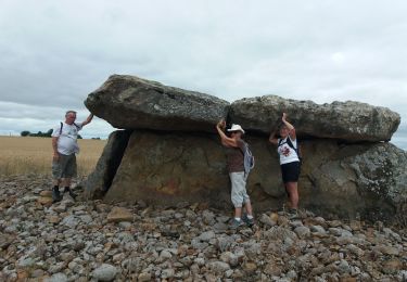 Trail Walking Plaine-et-Vallées - DEUX SEVRES / THOUARSAIS: LES MEGALITHES - Photo